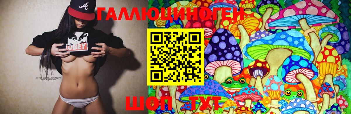 Ноябрьск  Псилоцибиновые грибы мицелий  Вход с VPN 